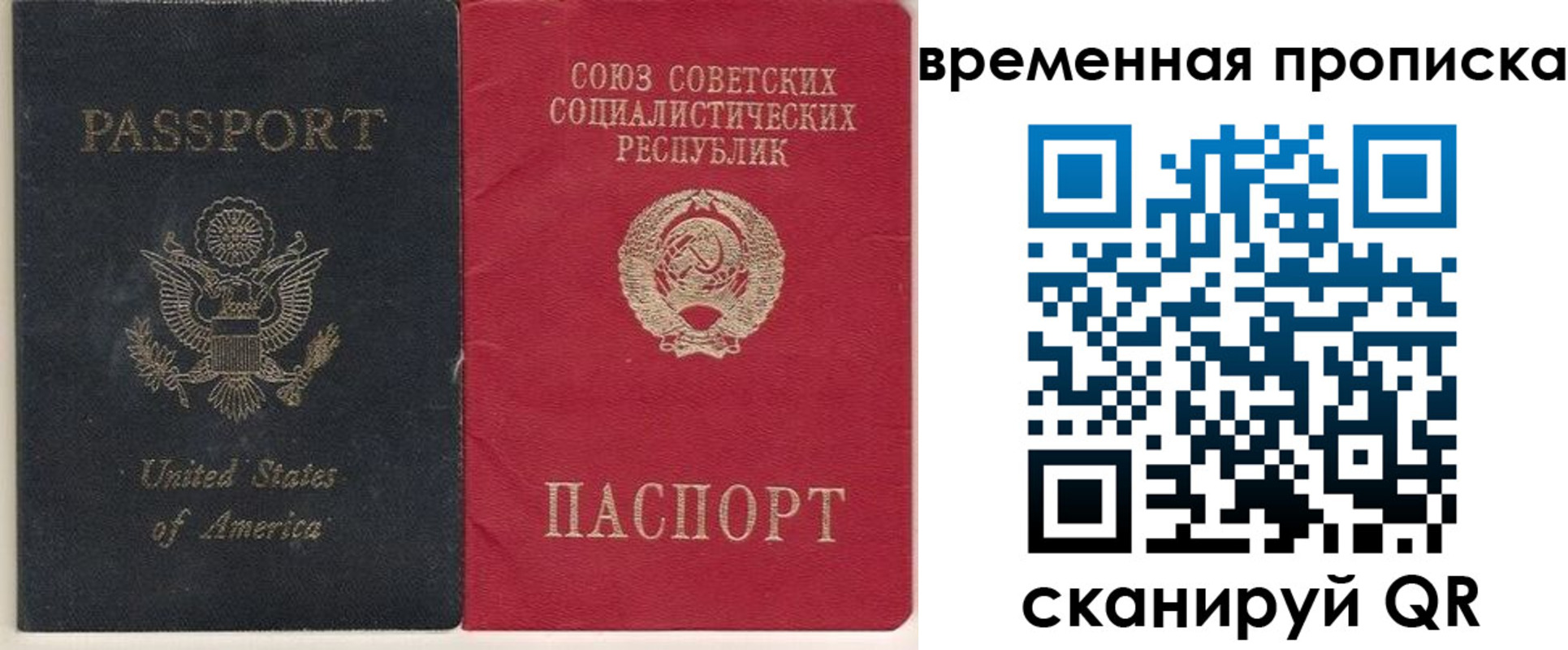 прописка для школы в Первомайске